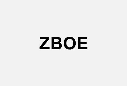 The website of Zhejiang BOE Display Technology Co., Ltd. has been launched